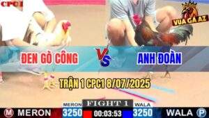 Trận 1 CPC1 8/7/2025 - Bướm Anh Đen Gò Công Mở Bát Tiễn Biệt Gà Điều