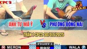 Trận 1 CPC2 30/7/2025 - Anh Tư Mã Ý Khai Màn Hạ Anh Phương Đồng Nai