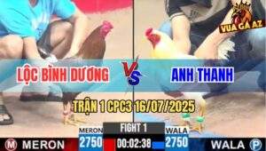 Trận 1 CPC3 16/7/2025 - Xám Cọp Anh Lộc Kết Liễu Úa Ngay Tay Nước Đầu