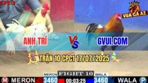 Trận 10 CPC1 17/7/2025 - Bướm Quá Trâu Gà Điều GVUI.COM Đâm Không Thấm