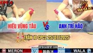 Trận 10 CPC2 25/7/2025 - Bướm Anh Hiếu Đâm Gà Nhạn Lũng Như Cái Rổ