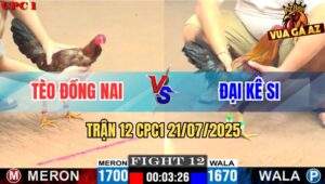 Trận 12 CPC1 21/7/2025 - Anh Tèo Đồng Nai Và Anh Đại Kê Si