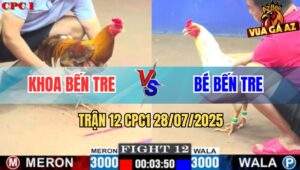 Trận 12 CPC1 28/7/2025 - Đám Bướm Hiệu Anh Bé Bến Tre Tải Cựa Quá Tốt
