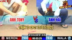 Trận 13 CPC1 12/7/2025 - Bướm Anh Tony Đâm Điều Không Trượt Phát Nào