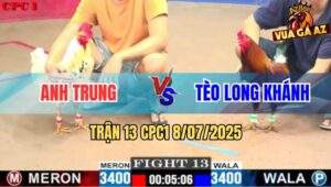 Trận 13 CPC1 8/7/2025 - Gà Anh Tèo Đá Xe Đạp Chổng Ngược Bướm Ói Chết