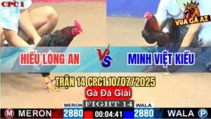 Trận 14 CPC1 10/7/2025 - Anh Hiếu Long An Gặp Anh Minh Việt Kiều