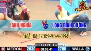 Trận 14 CPC1 22/7/2025 - Bướm Anh Long Bình Dương Đá Cựa Như Sam Sít