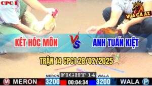 Trận 14 CPC1 28/7/2025 - Khét Anh Tuấn Kiệt Đâm Úa Chết Không Kịp Ngáp