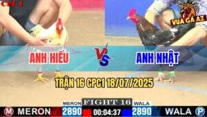 Trận 16 CPC1 19/7/2025 - Gà Bướm Anh Hiếu Đá Điều Bông Gãy Giò Bỏ Chạy