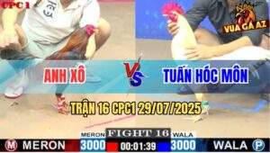 Trận 16 CPC1 29/7/2025 - Gà Anh Xô Hạ Knock Out Bướm Anh Tuấn Hóc Môn