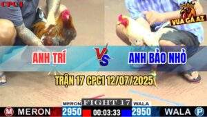 Trận 17 CPC1 12/7/2025 - Bướm Anh Bảo Nhỏ Đá Xám Bay Bồ Ngay Hiệp Đầu
