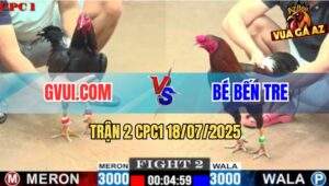Trận 2 CPC1 19/7/2025 - Điều Cọp Anh Bé Hạ Gà Ô GVUI.COM Nhanh Gọn
