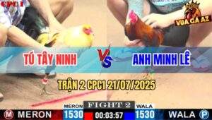 Trận 2 CPC1 21/7/2025 - Gà Điều Anh Minh Lê Hư Tỳ Lật Kèo Ngoạn Mục