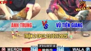 Trận 2 CPC2 23/7/2025 - Xám Son Vô Đá 2 Chân Gà Cú Anh Trung Bay Bồ