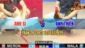 Trận 20 CPC2 11/7/2025 - Gà Nhạn Anh Si Đá Điều Anh Thiện Chạy La Làng