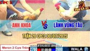 Trận 20 CPC2 30/7/2025 - Bướm Anh Lành Đá Gà Cú Anh Khoa Bể Hộp Số