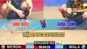 Trận 21 CPC1 24/7/2025 - Điều Cọp GVUI.COM Đá Đúng 1 Chân Lụm Kem