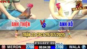 Trận 22 CPC1 29/7/2025 - Bướm Anh Xô Dính Cựa Như Mưa Lật Kèo Đẳng Cấp