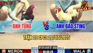 Trận 22 CPC2 20/7/2025 - Úa Hiệu Bảo Sting Dỡ Giò Là Có Kết Quả