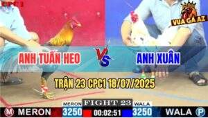 Trận 23 CPC1 19/7/2025 - Gà Điều Lùa Bướm Anh Xuân Chạy Khắp Sân