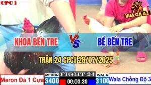 Trận 24 CPC1 28/7/2025 - Gà Bướm Anh Bé Bến Tre Lên 3 Bị Đá Nằm Bẹp Dí