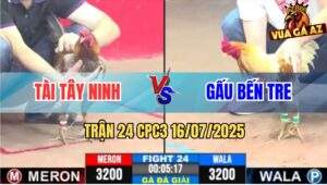 Trận 24 CPC3 16/7/2025 - Anh Tài Tây Ninh Gặp Anh Gấu Bến Tre