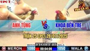 Trận 25 CPC1 28/7/2025 - Gà Mai Lại Anh Tùng Đâm Không Kịp Rớt Chân