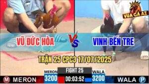 Trận 25 CPC3 17/7/2025 - Điều Cọp Anh Vinh Bến Tre Đá Gà Khét Hư 1 Pha