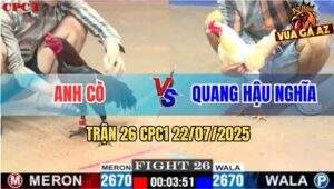 Trận 26 CPC1 22/7/2025 - Úa Anh Quang Nhấc Chân Lên Là Bẻ Cổ Đối Thủ