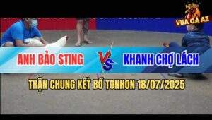 Trận 29 Bồ Ton Hon 18/7/2025 - Chung Kết: Anh Bảo Sting Và Anh Khanh