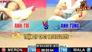 Trận 27 CPC1 19/7/2025 - Úa Anh Trí Có Chân Xạo Lờ Hạ Sát Gà Anh Tùng