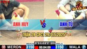 Trận 28 CPC1 29/7/2025 - Không Quá 3 Chân Anh Tú Xách Đuôi Úa Ra Ngoài
