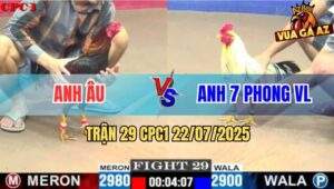 Trận 29 CPC1 22/7/2025 - Gà Anh Âu Hư Tỳ Phản Ăn 1, Hàng Sáo Kêu Miệng