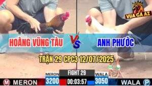 Trận 29 CPC3 12/7/2025 - Bướm Anh Phước Để Chân Ngay Nách Điều Xì Cơm