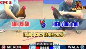 Trận 3 CPC2 18/7/2025 - Gà Điều Anh Châu Hạ Sát Đám Ô Cọp Vũng Tàu