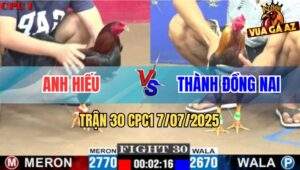 Trận 30 CPC1 7/7/2025 - Gà Anh Thành Hạ Gà Anh Hiếu Chỉ Tay Nước Đầu