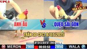 Trận 30 CPC1 8/7/2025 - Chuối Đen Anh Quẹo Hạ Xám Mồng Dâu Lá Tía Tô