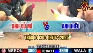Trận 31 CPC1 19/7/2025 - Điều Đuôi Lao Anh Củ Mì Đá Đâu Thấm Đó