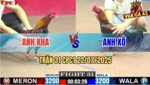 Trận 31 CPC1 22/7/2025 - Gà Điều Anh Kha Đâm Gà Que Không Sót Chân Nào