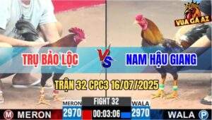 Trận 32 CPC3 16/7/2025 - Điều Mồng Lá Anh Trụ Đá Gãy Cổ Gà Xám Anh Nam