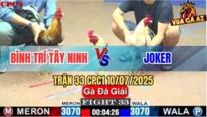 Trận 33 CPC1 10/7/2025 - Joker Tiếp Tục Gạt Giò Anh Bình Trí Tây Ninh