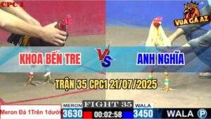 Trận 35 CPC1 21/7/2025 - Gà Que Anh Khoa Bến Tre Đá Bo Như Xe Đụng