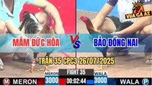 Trận 35 CPC3 26/7/2025 - Gà Cú Anh Mắm Đức Hòa Bú Que Cây Lung Bay Bồ