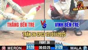 Trận 36 CPC3 12/7/2025 - Camelo Anh Thắng Bị Phản Ăn 2, Báo Hại Hàng 6