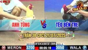 Trận 38 CPC1 21/7/2025 - Anh Tèo Bến Tre Hạ Anh Tùng Chỉ Một Nốt Nhạc