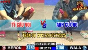 Trận 39 CPC1 29/7/2025 - Anh Tý Cầu Voi Và Anh Cương