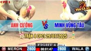 Trận 4 CPC1 29/7/2025 - Camelo Anh Cường Đá Cựa Như Sam Sít