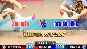 Trận 5 CPC1 22/7/2025 - Gà Bướm Anh Đen Gò Công Có Chân Xạo Lờ