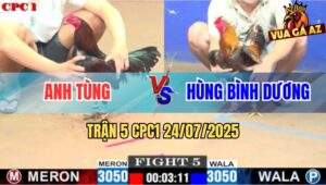 Trận 5 CPC1 24/7/2025 - Điều Chân Xanh Anh Tính Đâm Cựa Như Cái Máy
