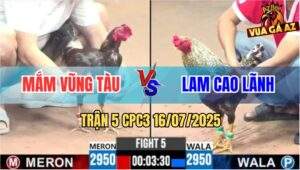 Trận 5 CPC3 16/7/2025 - Anh Mắn Vũng Tàu Và Anh Lam Cao Lãnh